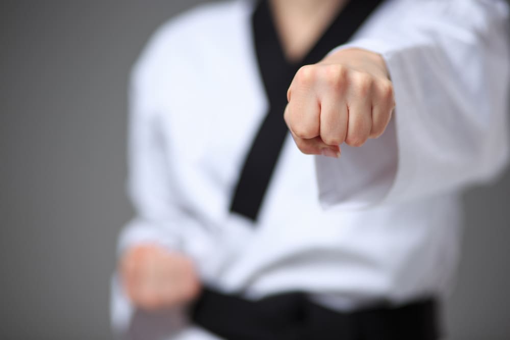 Teen Martial Arts near Chino Hills